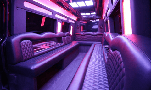 Escondido 14 Passenger Sprinter Bus Interior